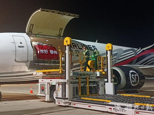 湖北 头号工程 迎来重大进展 鄂州花湖机场货运航线开通运行